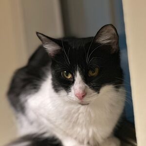 Meet your Posher, Grace